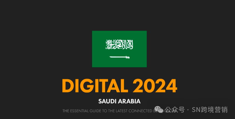 中东沙特阿拉伯数字报告（2024）