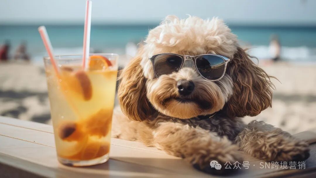 宠物友好旅行：泰国新兴的商业机遇