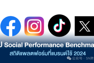 社交媒体平台效果分析（2024）