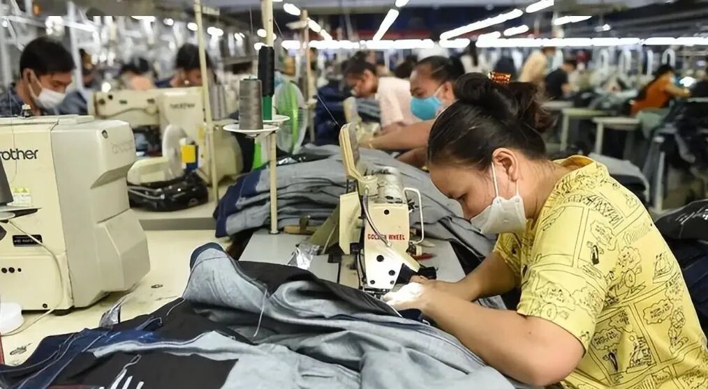 越南劳动力市场分析（2024）